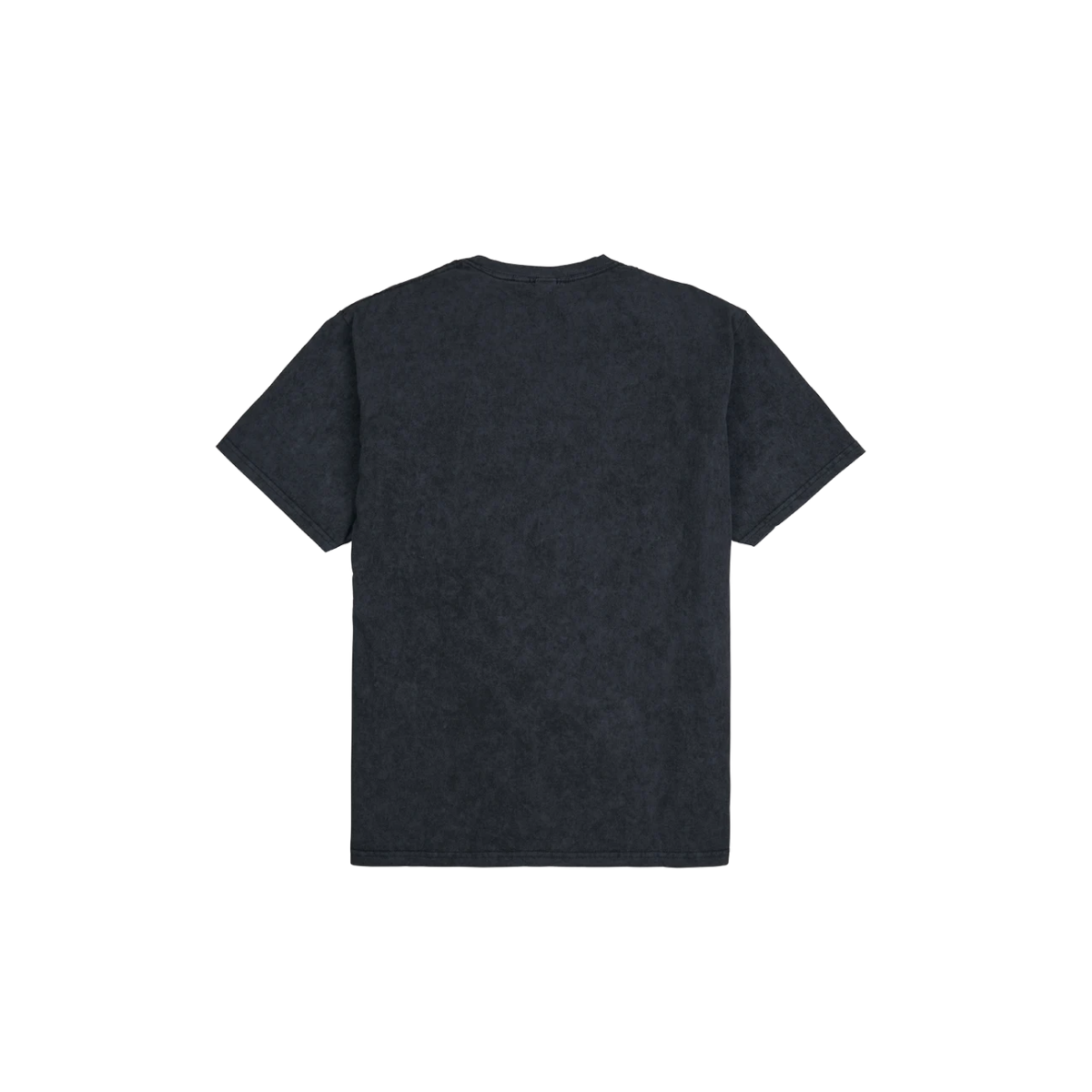 Back To Black Portrait Washed T-Shirt back