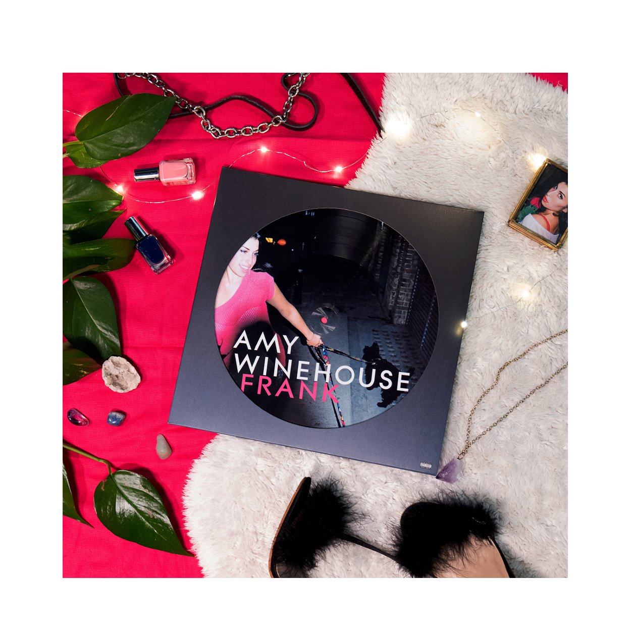Frank Picture Disc 2LP 3